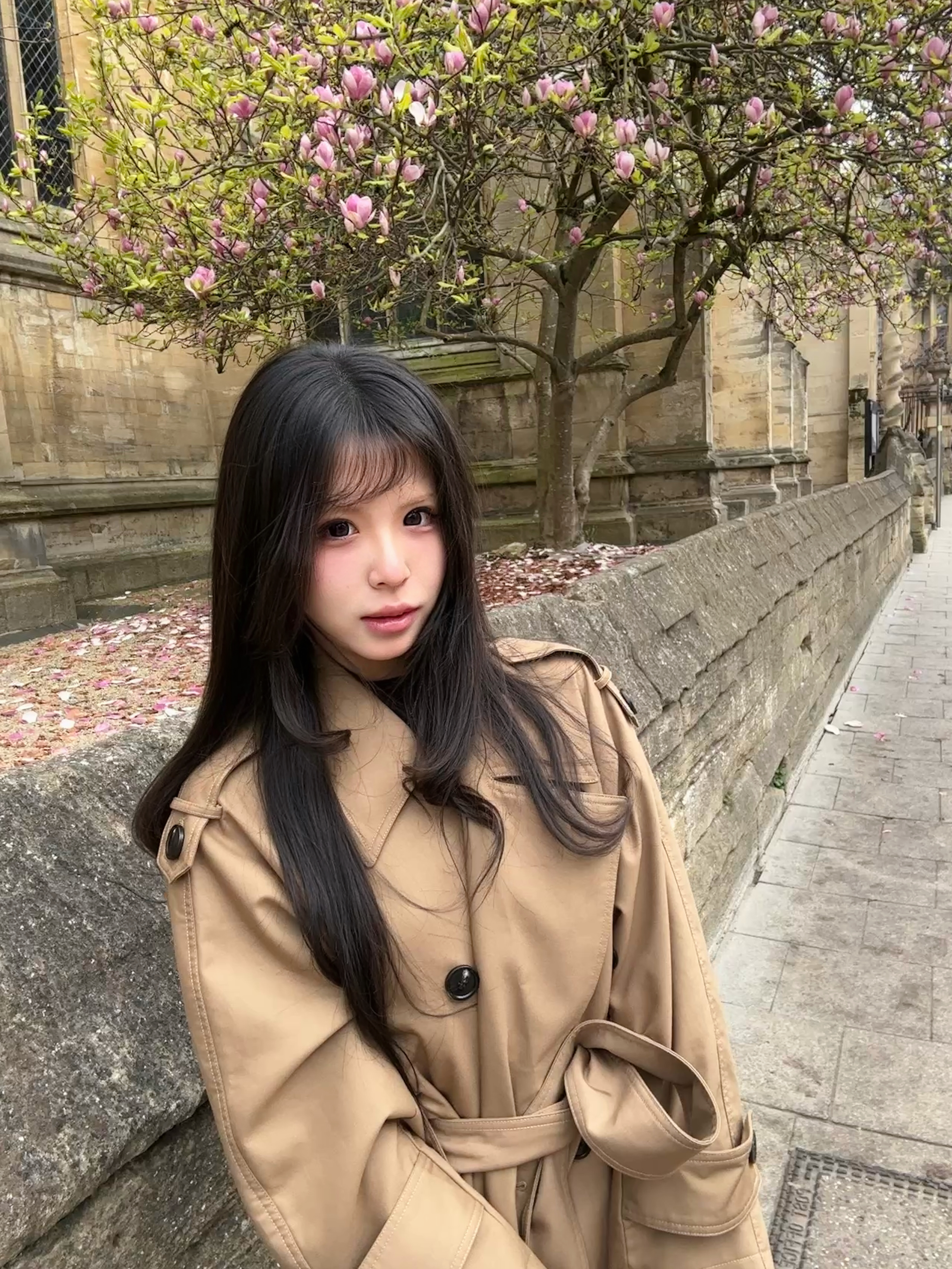 王典子春日照片